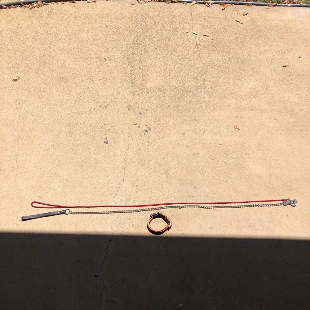 Red Rope and Chain Dog Leash with Orange Collar